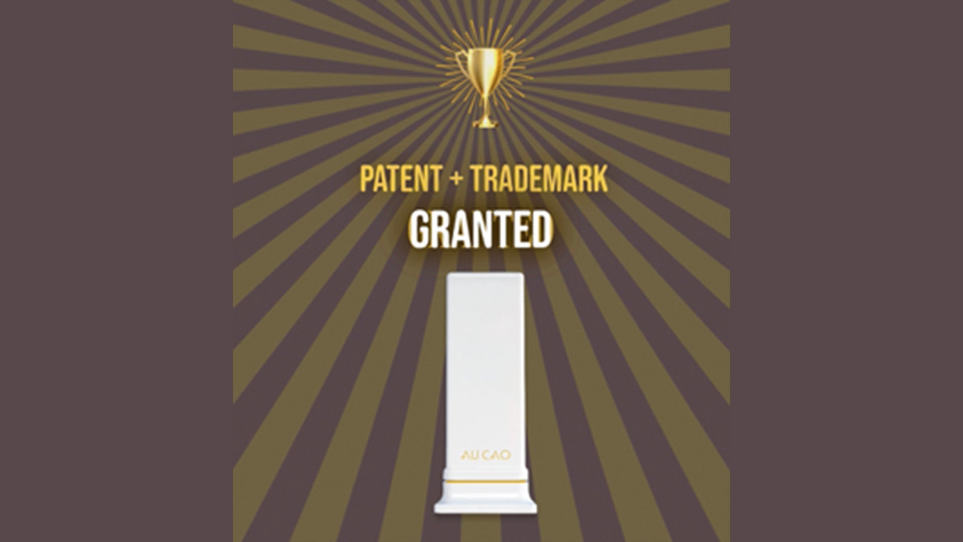 Patent and Trademark granted