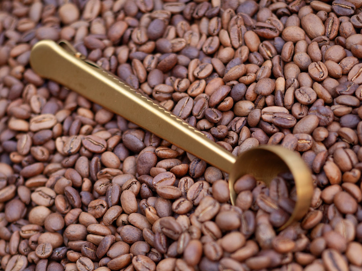 Spoon Clip (Gold)