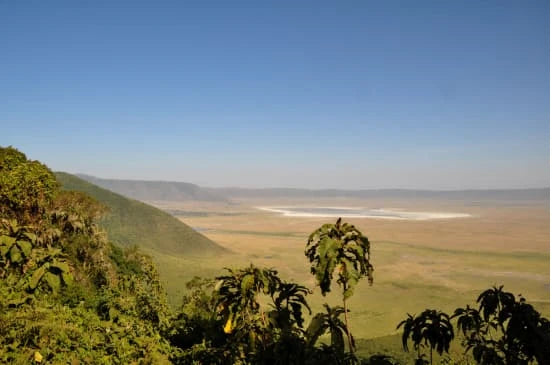 A wide green valley in northern Tanzania seen from a forested ridge, with a pale lake bed in the distance